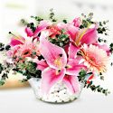 Camda Pembe Lilyum Gerbera