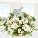 Sepette Gerbera ve Krizantemler