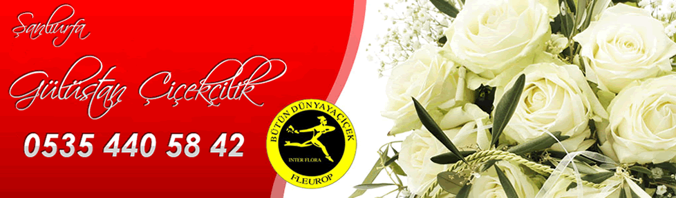 GÜLİSTAN ÇİÇEKÇİLİK || 0535 440 5842