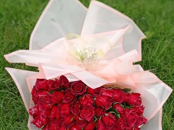 Pembe organze ambalaj içinde kalp biçiminde dizilmiş kırmızı güller