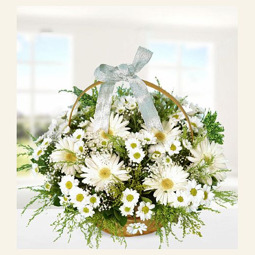 Sepette Gerbera Ve Krizantemler — Çiçek Aranjmanı